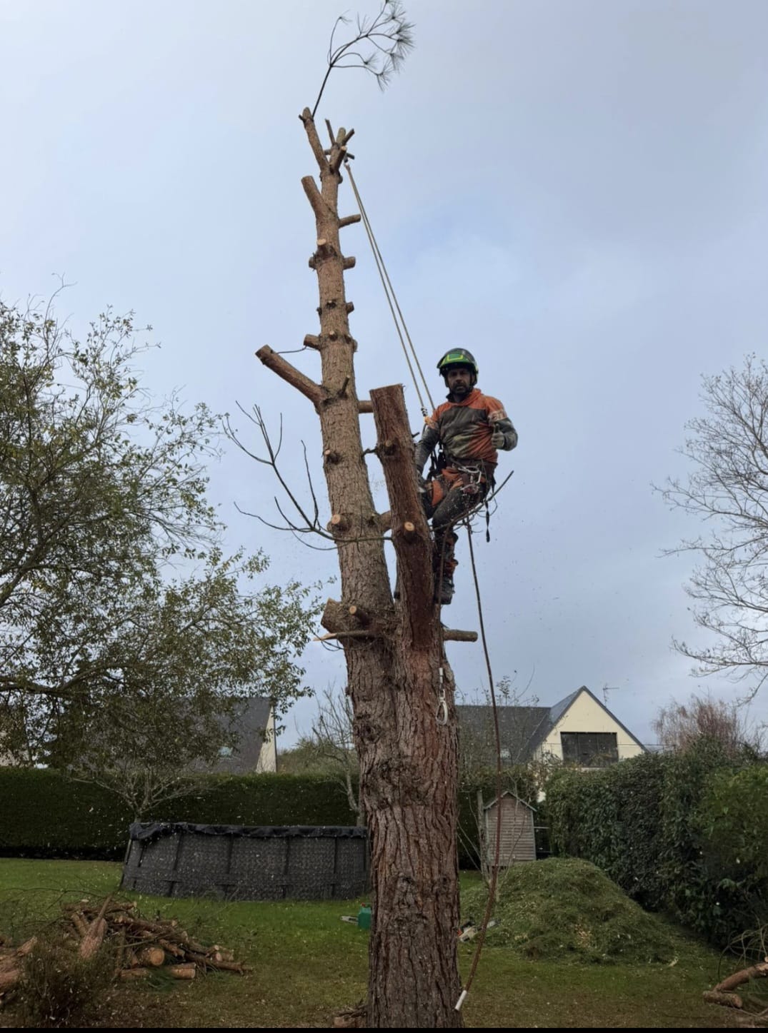 Mickaël Élagueur - Réalisation élagage d'arbre