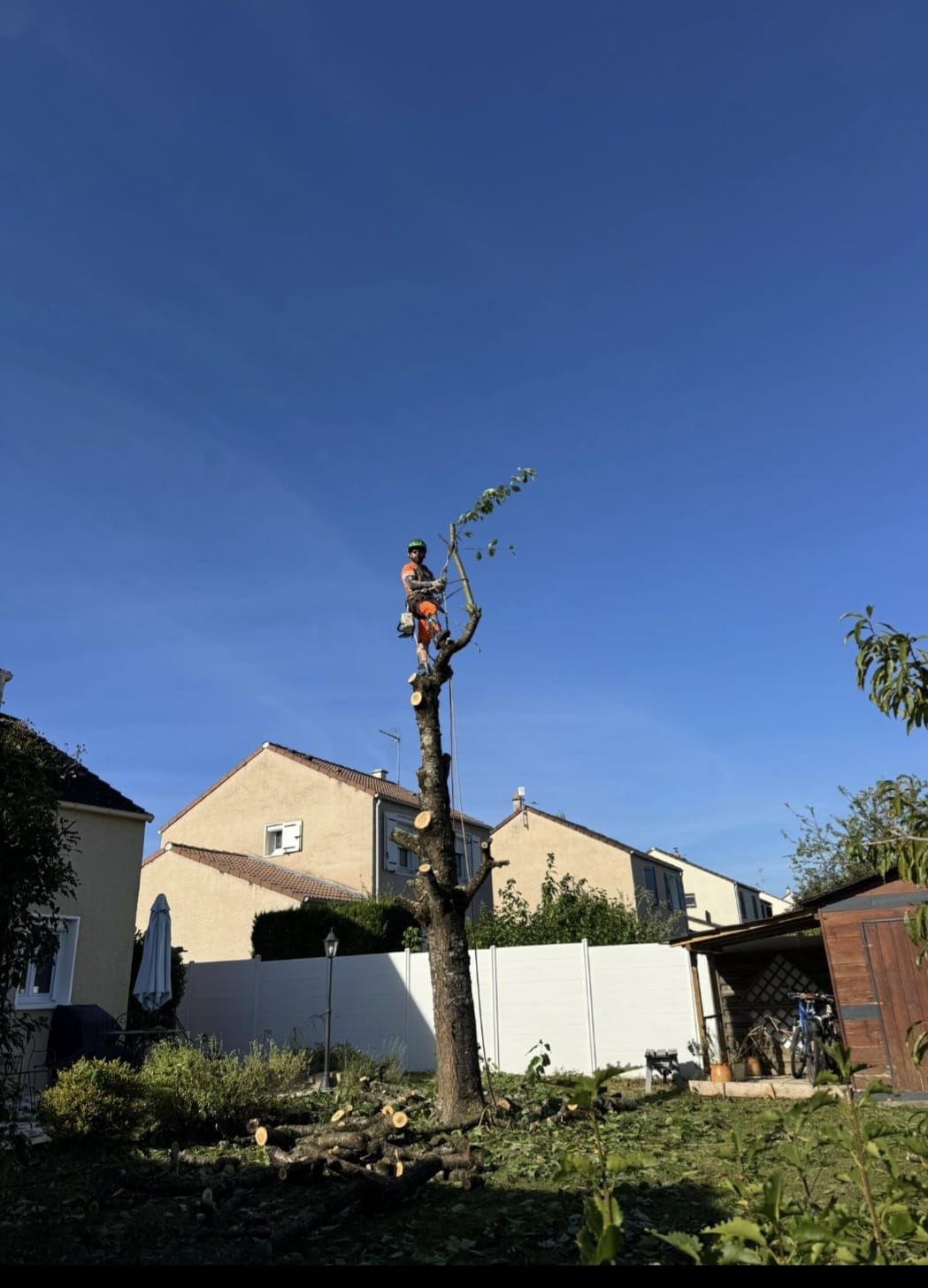 Mickaël Élagueur - Réalisation élagage d'arbre
