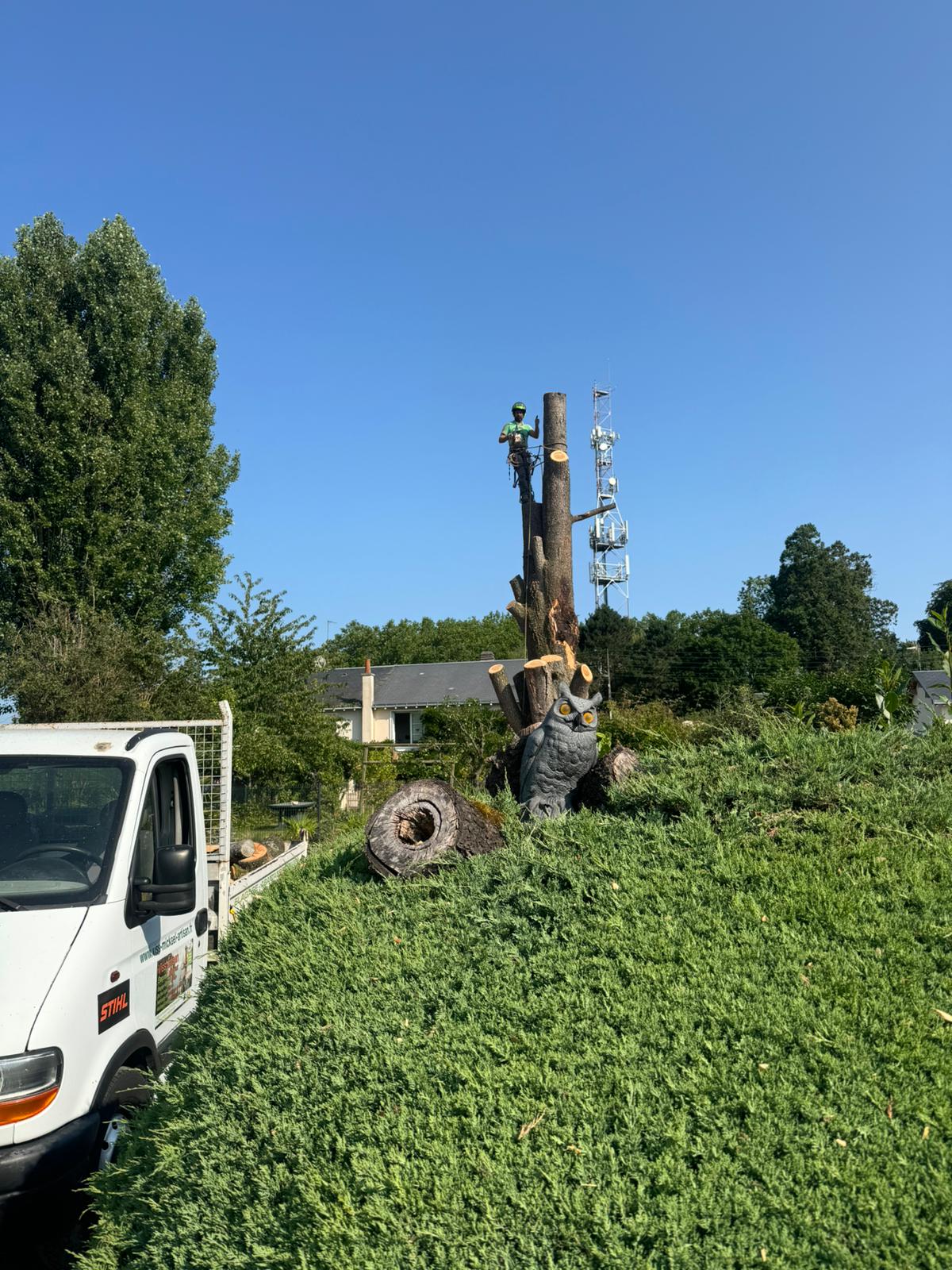 Mickaël Élagueur - Réalisation élagage d'arbre
