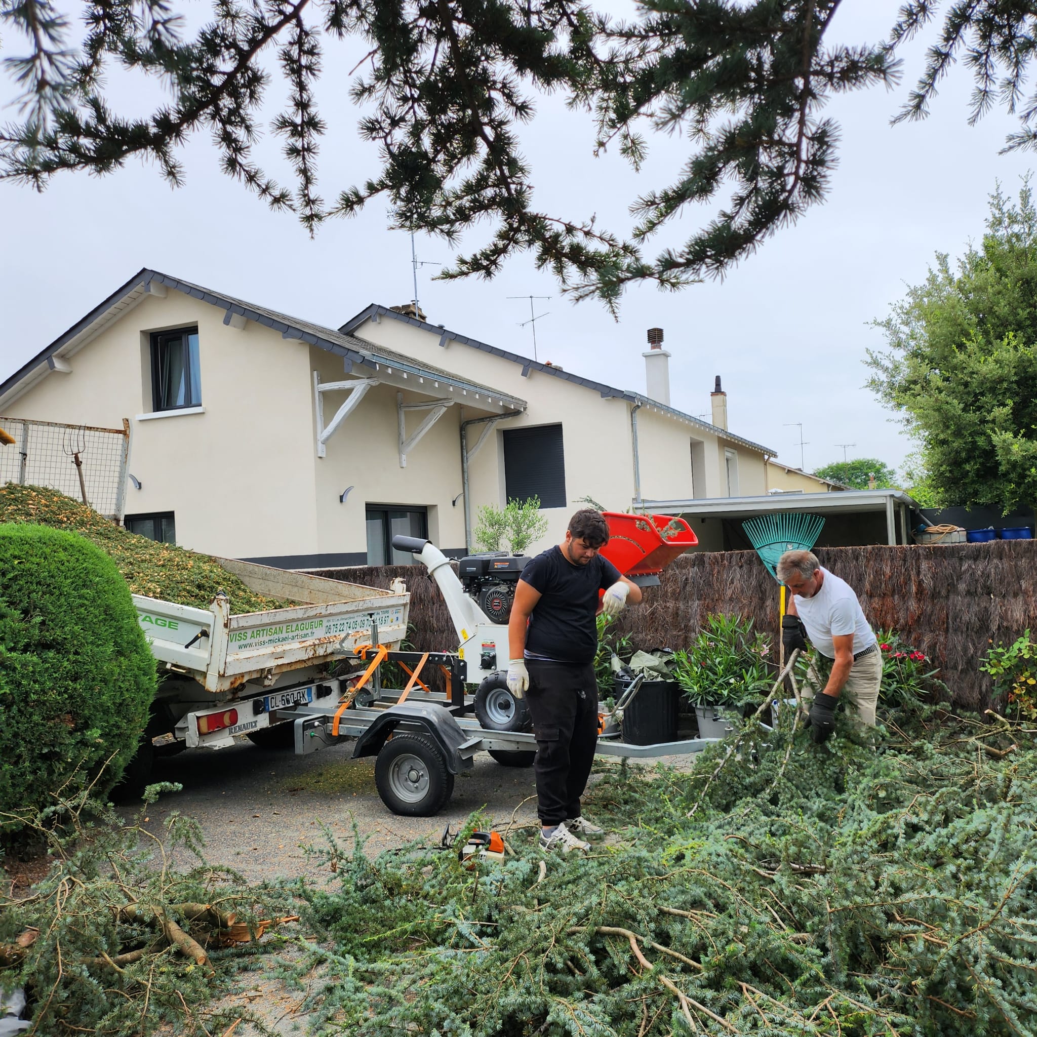 Mickaël Élagueur - Réalisation élagage d'arbre