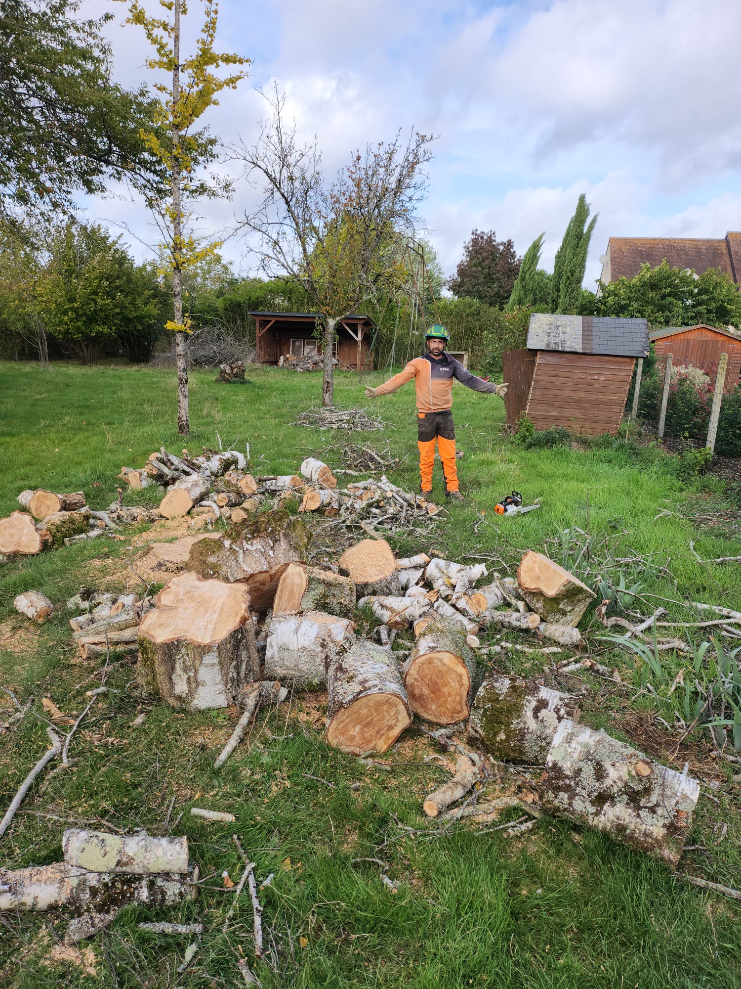 Mickaël Élagueur - Réalisation élagage d'arbre